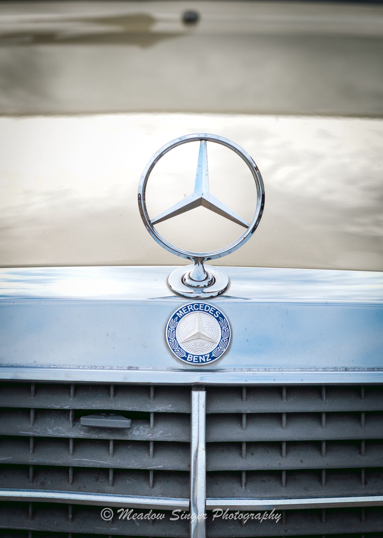 The standing star ornament on a classic Mercedes grille